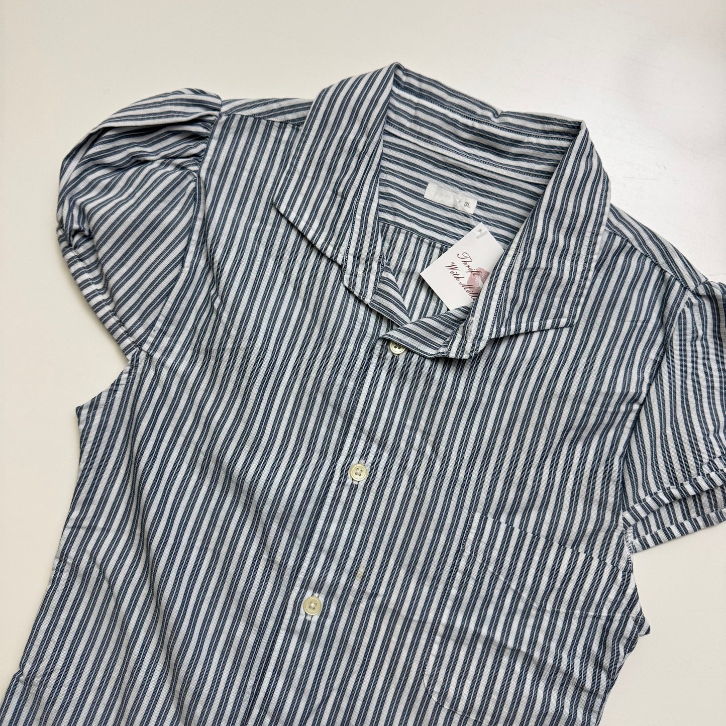 Blue Striped Blouse