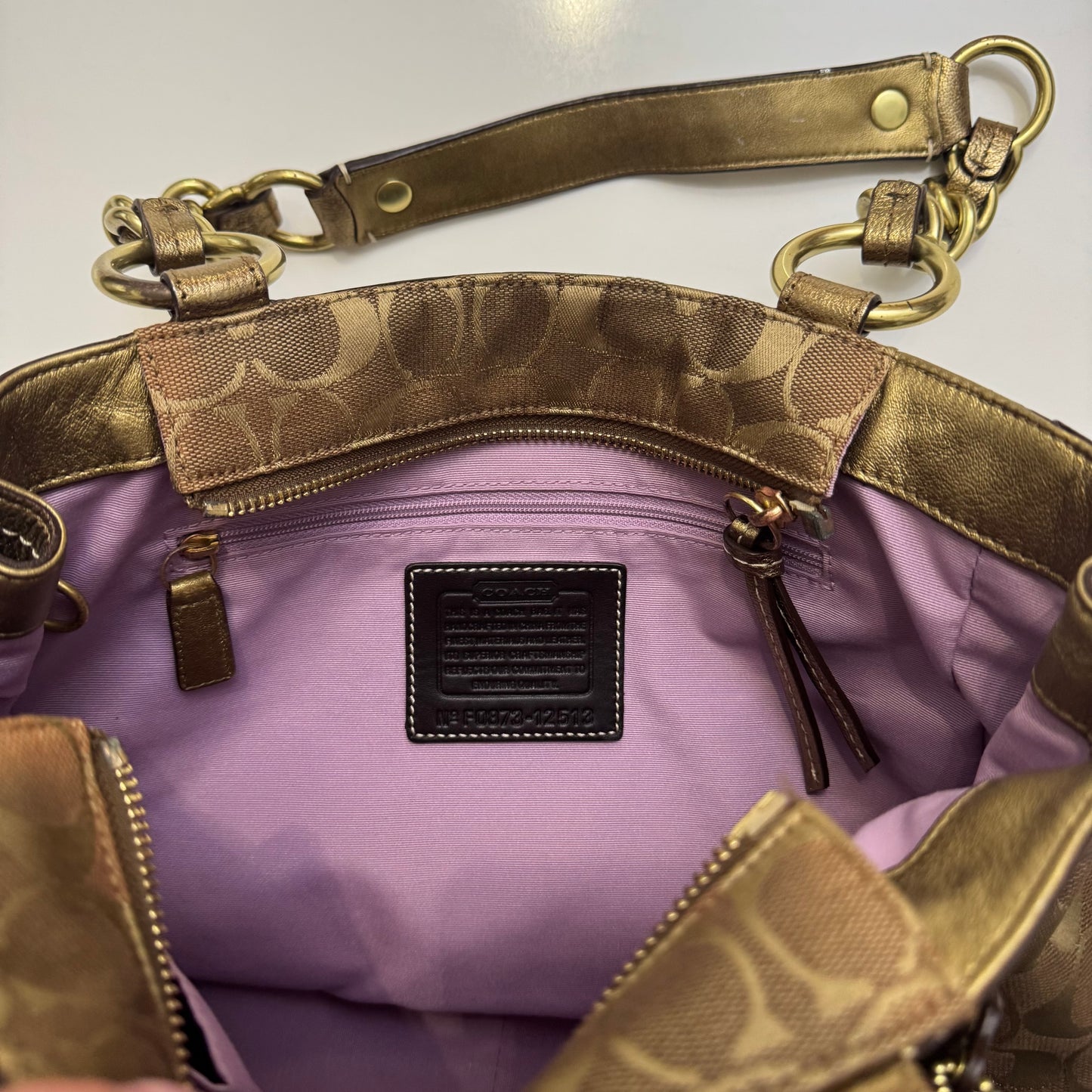 Coach Hobo Bag